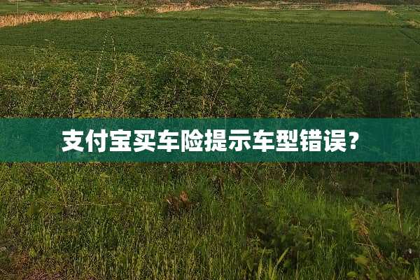 支付宝买车险提示车型错误？