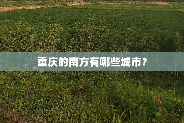 重庆的南方有哪些城市？
