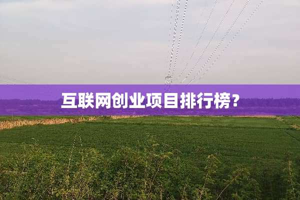 互联网创业项目排行榜？