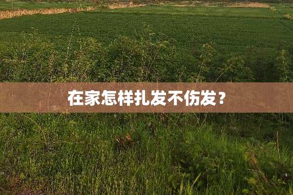 在家怎样扎发不伤发？