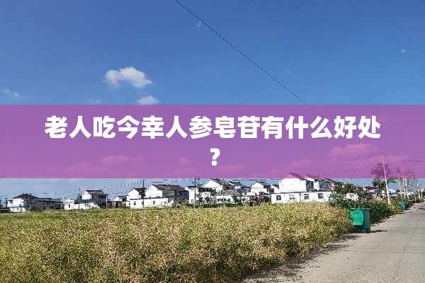 老人吃今幸人参皂苷有什么好处？