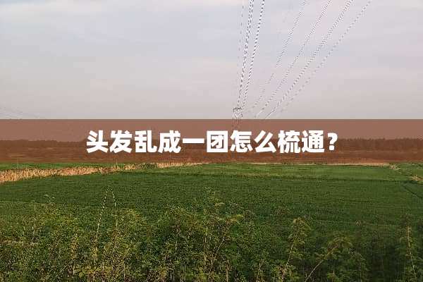 头发乱成一团怎么梳通？