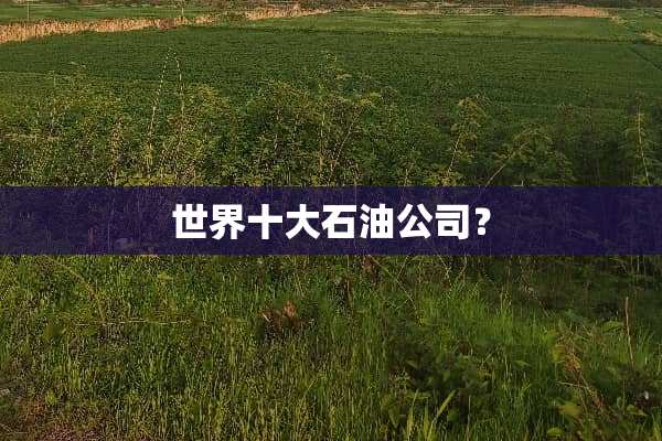 世界十大石油公司？