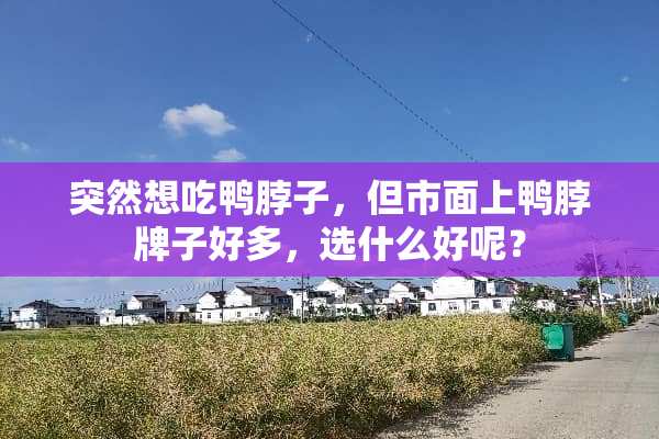 突然想吃鸭脖子，但市面上鸭脖牌子好多，选什么好呢？