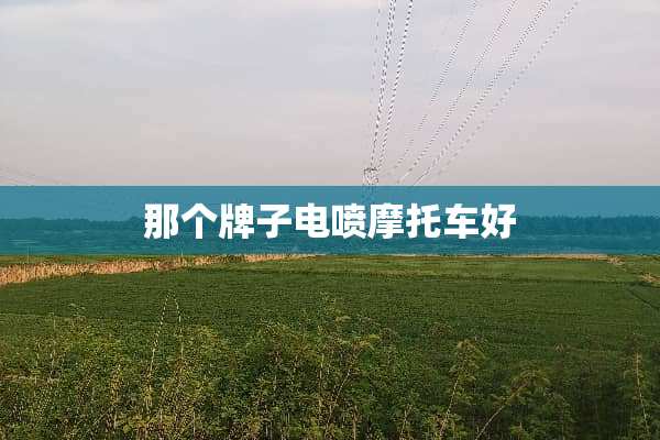 那个牌子电喷摩托车好
