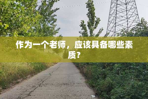作为一个老师，应该具备哪些素质？
