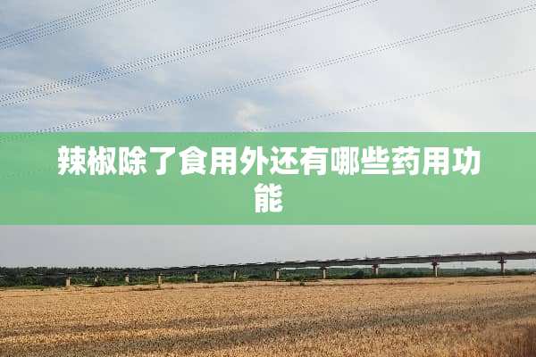 辣椒除了食用外还有哪些药用功能