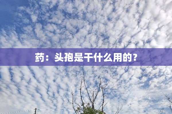 药：头孢是干什么用的？