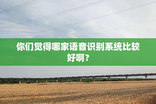 你们觉得哪家语音识别系统比较好啊？