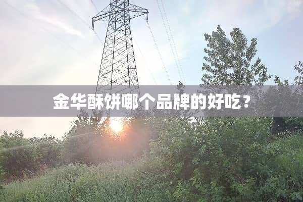 金华酥饼哪个品牌的好吃？