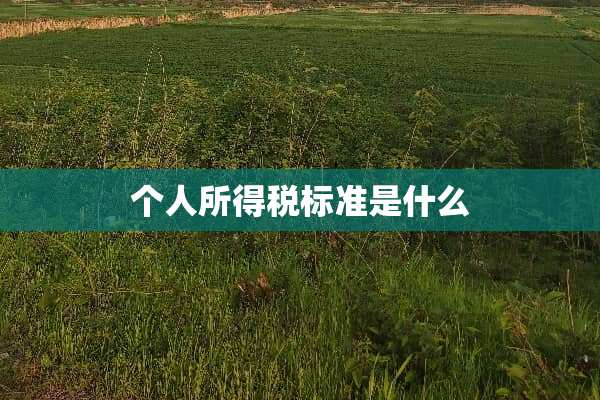 个人所得税标准是什么