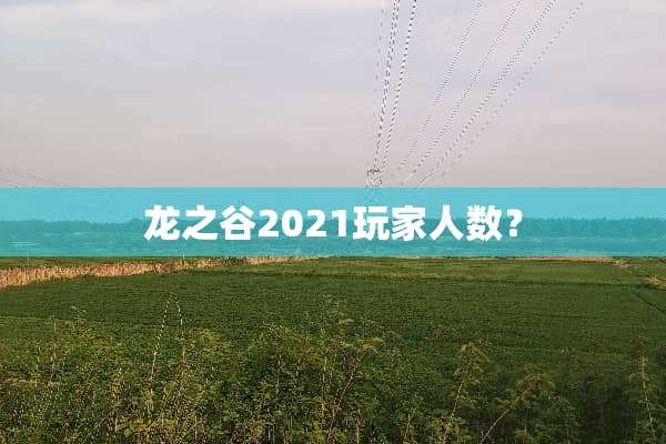 龙之谷2021玩家人数？