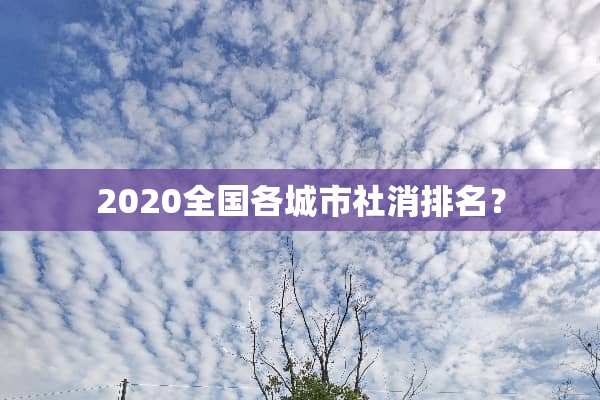 2020全国各城市社消排名？