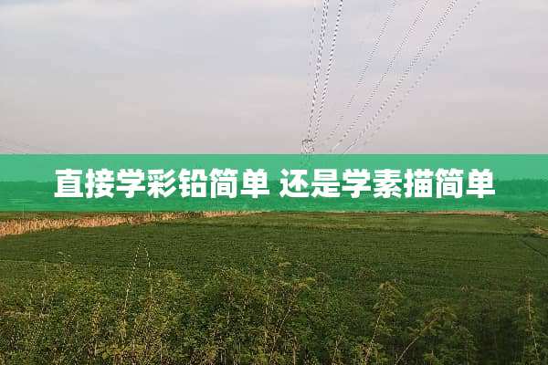 直接学彩铅简单 还是学素描简单