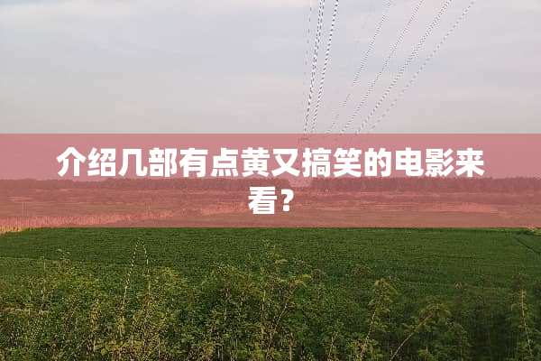 介绍几部有点黄又搞笑的电影来看？