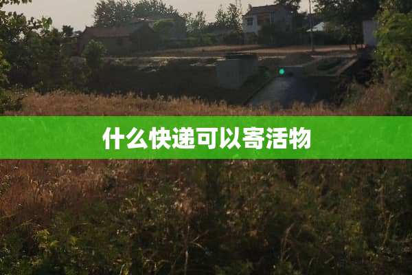 什么快递可以寄活物
