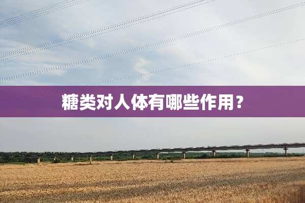 糖类对人体有哪些作用？