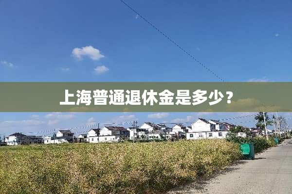 上海普通退休金是多少？