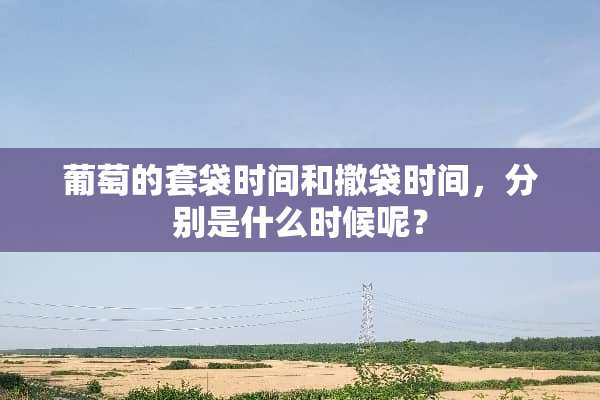 葡萄的套袋时间和撤袋时间，分别是什么时候呢？
