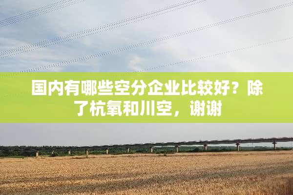 国内有哪些空分企业比较好？除了杭氧和川空，谢谢
