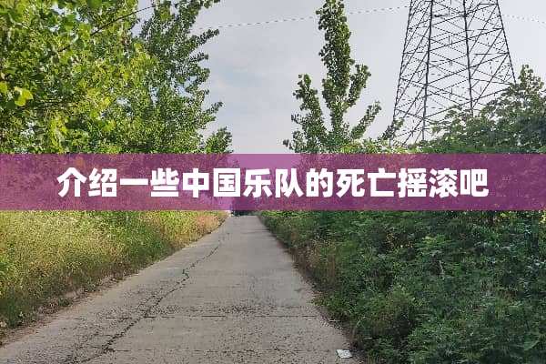 介绍一些中国乐队的死亡摇滚吧