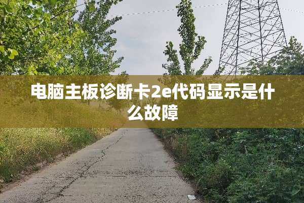 电脑主板诊断卡2e代码显示是什么故障