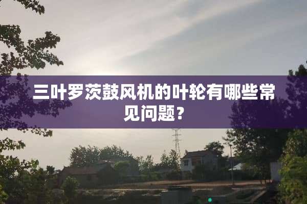三叶罗茨鼓风机的叶轮有哪些常见问题？