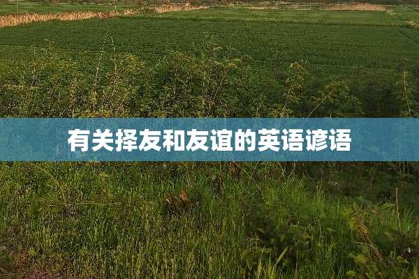 有关择友和友谊的英语谚语