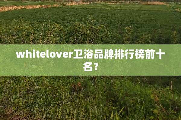 whitelover卫浴品牌排行榜前十名？