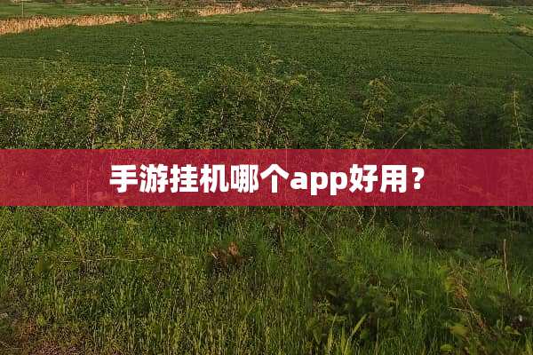 手游挂机哪个app好用？