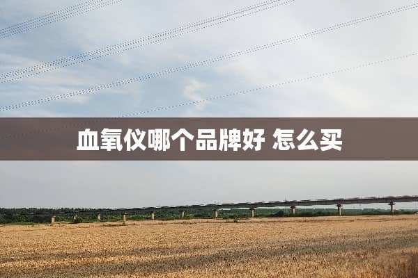 血氧仪哪个品牌好 怎么买