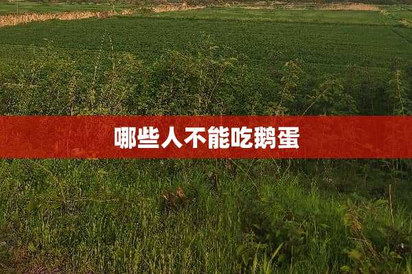 哪些人不能吃鹅蛋