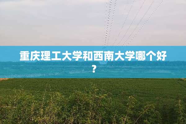 重庆理工大学和西南大学哪个好？