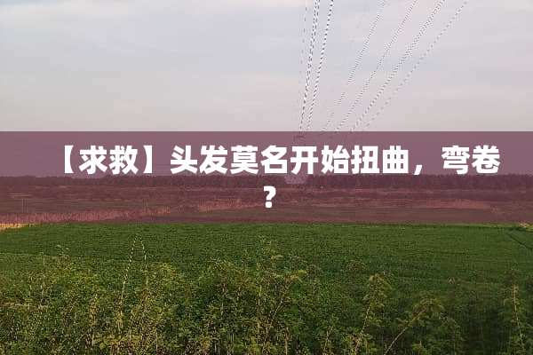 【求救】头发莫名开始扭曲，弯卷？