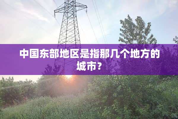 中国东部地区是指那几个地方的城市？