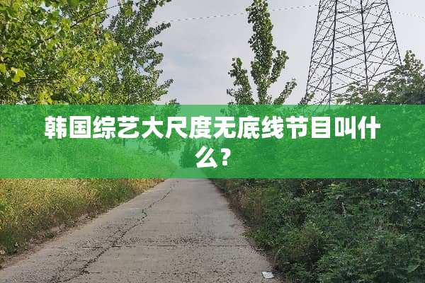 韩国综艺大尺度无底线节目叫什么？
