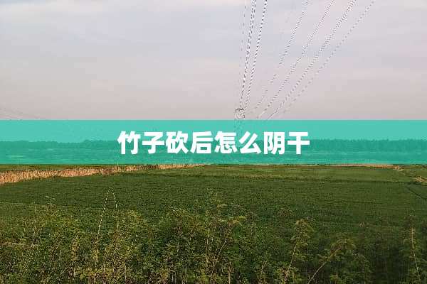 竹子砍后怎么*干