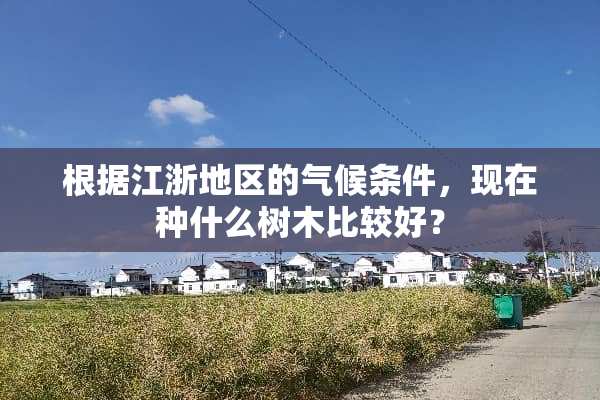 根据江浙地区的气候条件，现在种什么树木比较好？