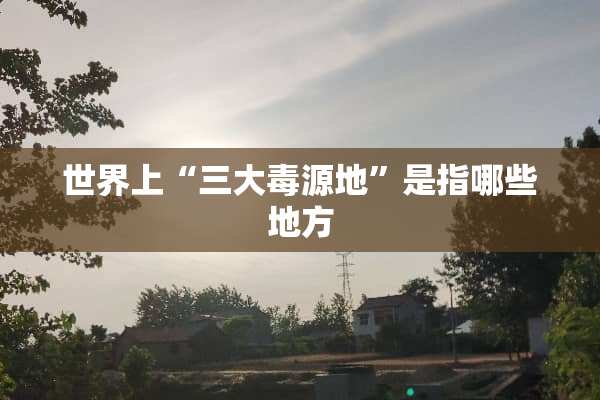 世界上“三大毒源地”是指哪些地方