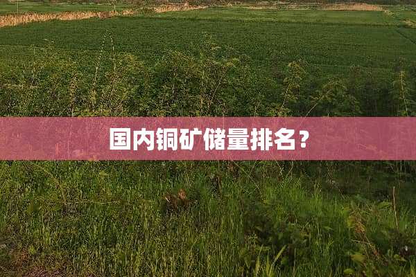 国内铜矿储量排名？
