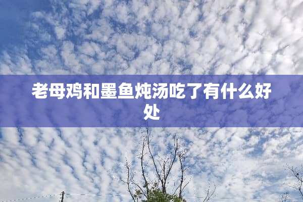 老母鸡和墨鱼炖汤吃了有什么好处