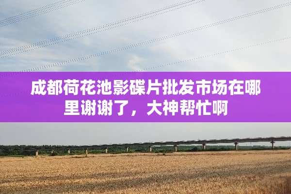 成都荷花池影碟片批发市场在哪里谢谢了，大神帮忙啊