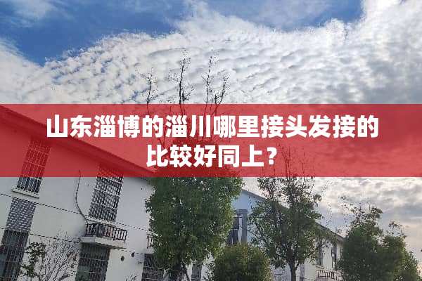 山东淄博的淄川哪里接头发接的比较好同上？