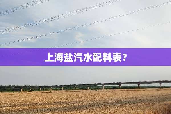 上海盐汽水配料表？