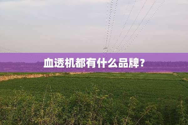 血透机都有什么品牌？