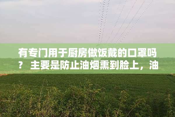 有专门用于厨房做饭戴的口罩吗？ 主要是防止油烟熏到脸上，油油的。