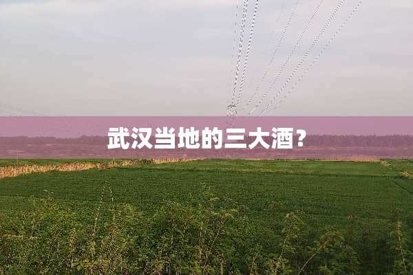 武汉当地的三大酒？