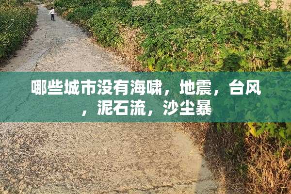 哪些城市没有海啸，地震，台风，泥石流，沙尘暴