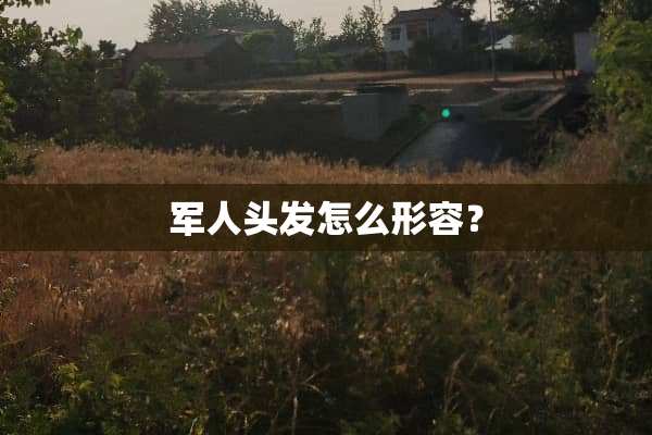 军人头发怎么形容？