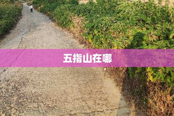 五指山在哪